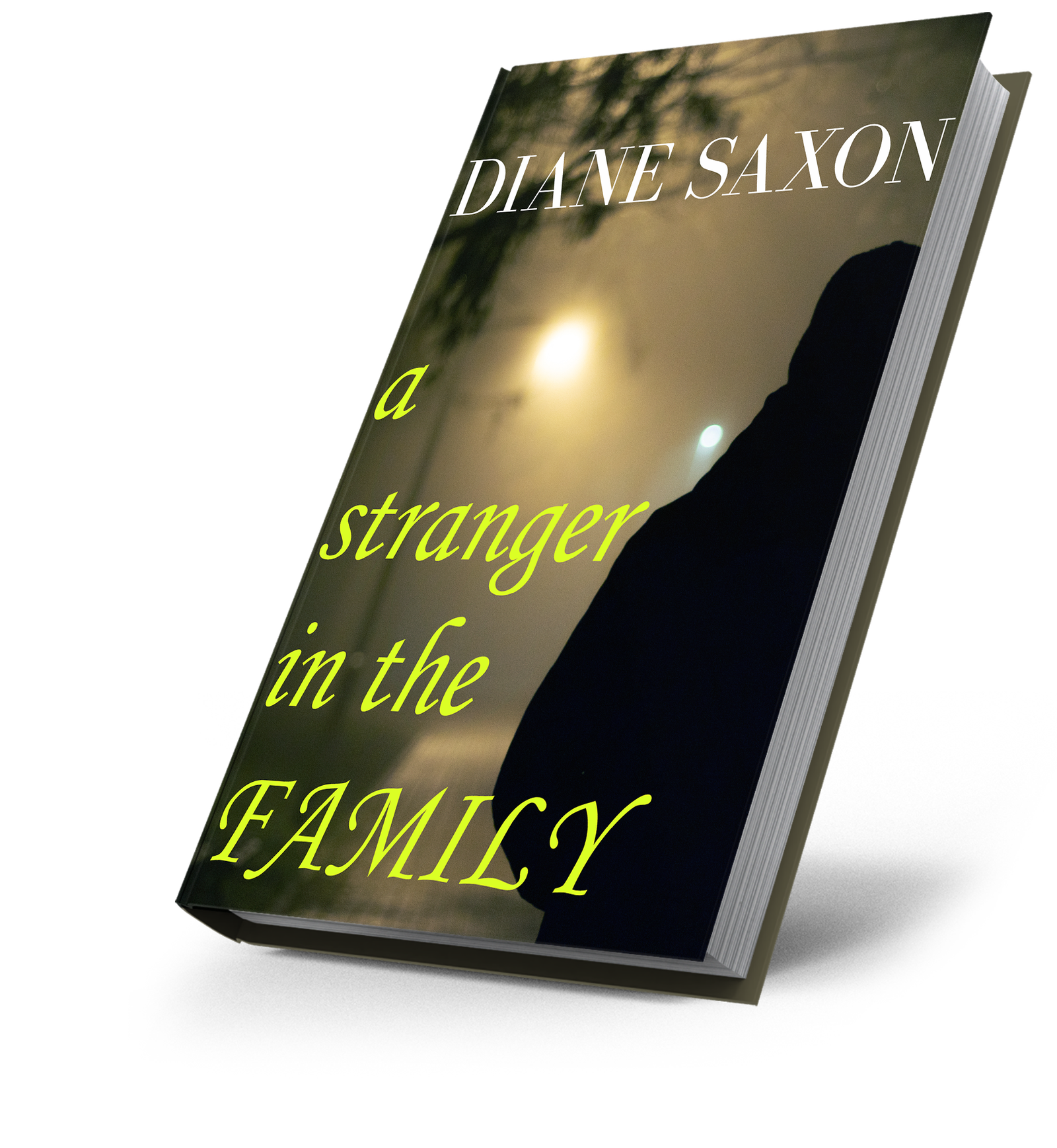a stranger in the family